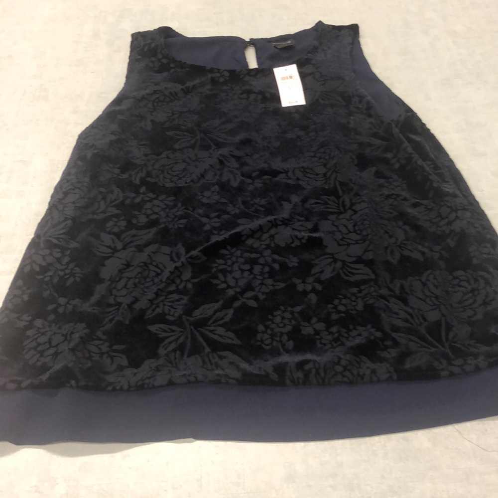 Ann Taylor Velvety blouse